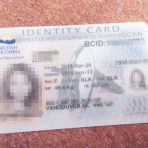 パスポートの代わりになる身分証「BCID」