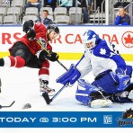 アイスホッケー試合観戦（Marlies VS Monsters）