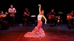 flamenco spain