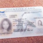 パスポートの代わりになる身分証「BCID」