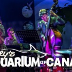 夜の水族館でJazzの生演奏とカクテルを…（強くなりたい女子会編）
