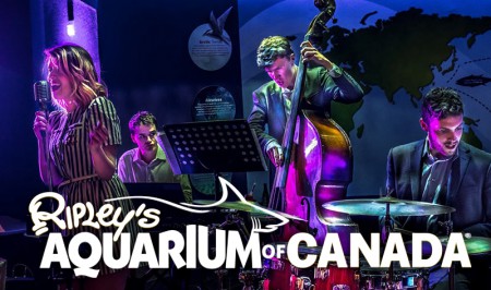 Visit-Ripley-Aquarium-Canada-Toronto-Friday-Night-Jazz