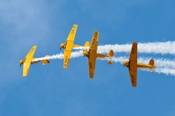 Canadian Harvard Aerobatic Team (1)