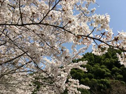 20180402b
