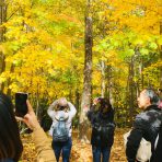 紅葉シーズンのオンタリオ、バリー遠足日記