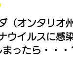 カナダ（オンタリオ州）でコロナウイルスに感染してしまったら・・・？