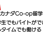 【カナダCo-op留学】留学生でもバイトができ、フルタイムでも働ける！？