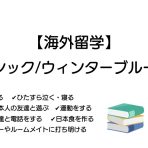 【海外留学】留学中のホームシック/ウィンターブルー対処法